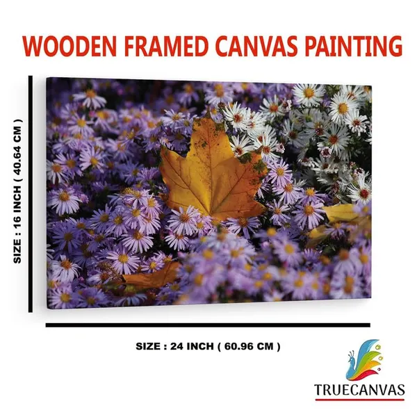 Multicolor_16_X_24_Inch,_Pine_Wood_Framed_Canvas_Paintings_|_For_Home_Decor,_Ready_To_Wall_Hanging,_Premium_Painting_|_For_|_Bedroom,_Living_Room,_Office_Wall_Decoration_|_Wall_Art_Painting,_Ct2398