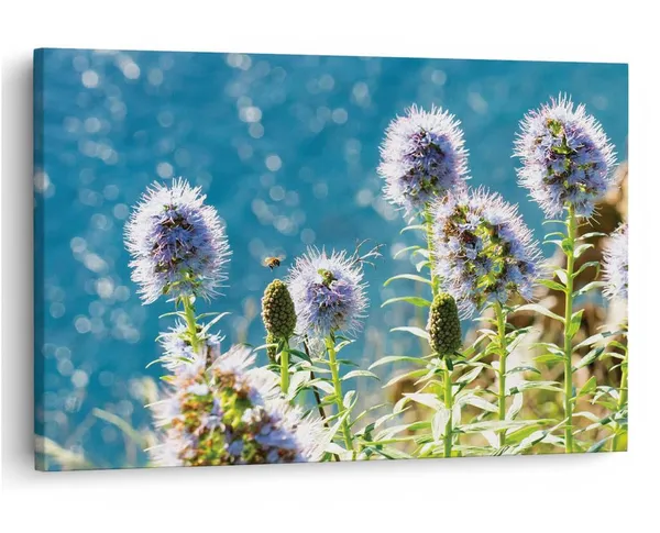 Multicolor_16_X_24_Inch,_Pine_Wood_Framed_Canvas_Paintings_|_For_Home_Decor,_Ready_To_Wall_Hanging,_Premium_Painting_|_For_|_Bedroom,_Living_Room,_Office_Wall_Decoration_|_Wall_Art_Painting,_Ct2399