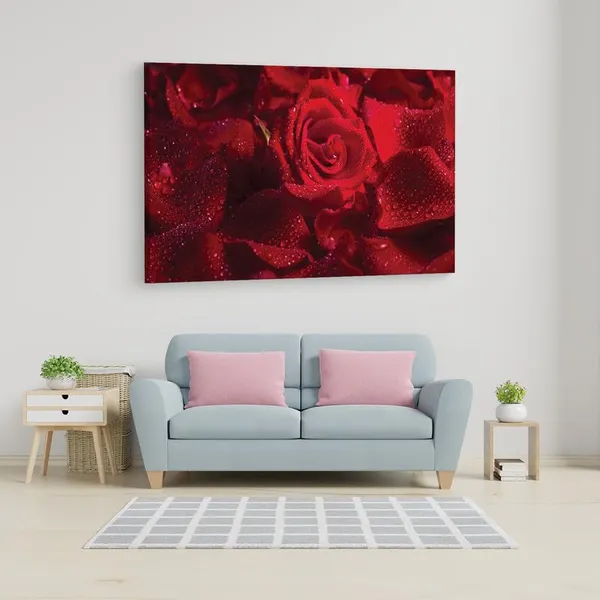 Multicolor_16_X_24_Inch,_Pine_Wood_Framed_Canvas_Paintings_|_For_Home_Decor,_Ready_To_Wall_Hanging,_Premium_Painting_|_For_|_Bedroom,_Living_Room,_Office_Wall_Decoration_|_Wall_Art_Painting,_Ct2407