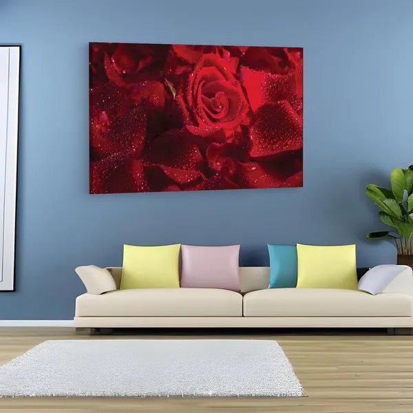 Multicolor_16_X_24_Inch,_Pine_Wood_Framed_Canvas_Paintings_|_For_Home_Decor,_Ready_To_Wall_Hanging,_Premium_Painting_|_For_|_Bedroom,_Living_Room,_Office_Wall_Decoration_|_Wall_Art_Painting,_Ct2407
