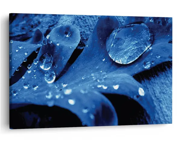 Multicolor_16_X_24_Inch,_Pine_Wood_Framed_Canvas_Paintings_|_For_Home_Decor,_Ready_To_Wall_Hanging,_Premium_Painting_|_For_|_Bedroom,_Living_Room,_Office_Wall_Decoration_|_Wall_Art_Painting,_Ct2409