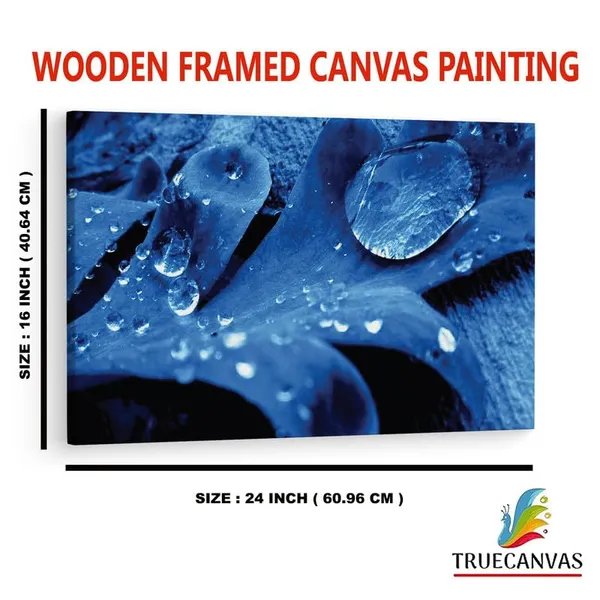 Multicolor_16_X_24_Inch,_Pine_Wood_Framed_Canvas_Paintings_|_For_Home_Decor,_Ready_To_Wall_Hanging,_Premium_Painting_|_For_|_Bedroom,_Living_Room,_Office_Wall_Decoration_|_Wall_Art_Painting,_Ct2409