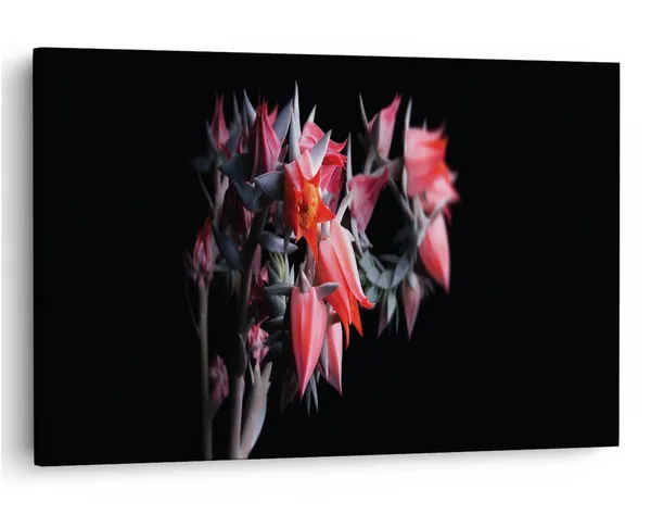 Multicolor_16_X_24_Inch,_Pine_Wood_Framed_Canvas_Paintings_|_For_Home_Decor,_Ready_To_Wall_Hanging,_Premium_Painting_|_For_|_Bedroom,_Living_Room,_Office_Wall_Decoration_|_Wall_Art_Painting,_Ct2410