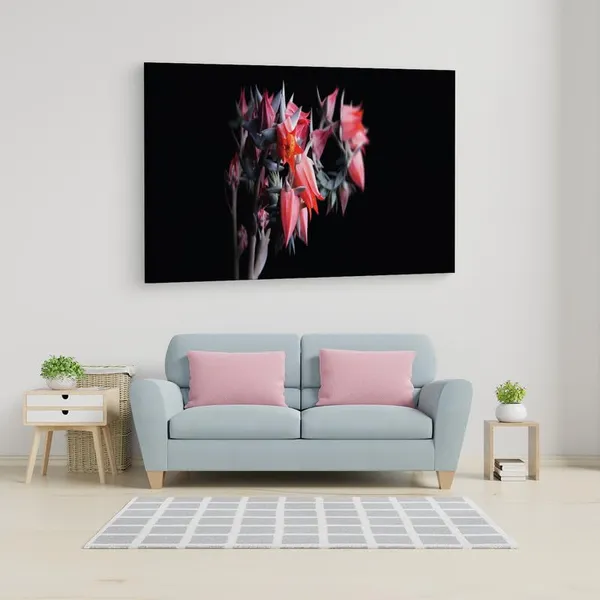 Multicolor_16_X_24_Inch,_Pine_Wood_Framed_Canvas_Paintings_|_For_Home_Decor,_Ready_To_Wall_Hanging,_Premium_Painting_|_For_|_Bedroom,_Living_Room,_Office_Wall_Decoration_|_Wall_Art_Painting,_Ct2410