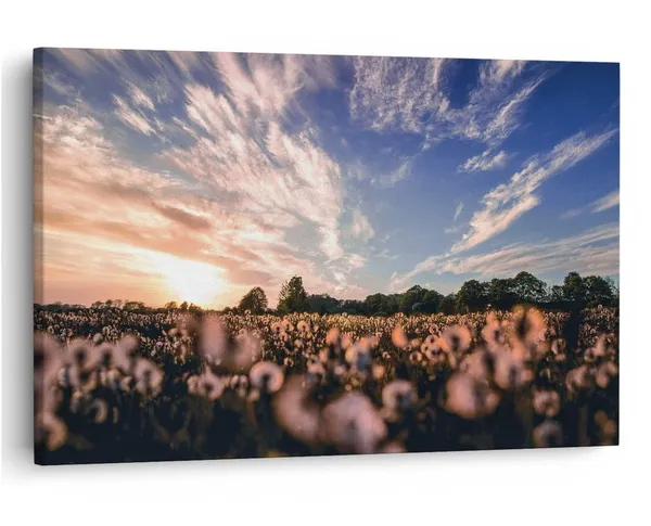 Multicolor_16_X_24_Inch,_Pine_Wood_Framed_Canvas_Paintings_|_For_Home_Decor,_Ready_To_Wall_Hanging,_Premium_Painting_|_For_|_Bedroom,_Living_Room,_Office_Wall_Decoration_|_Wall_Art_Painting,_Ct2413