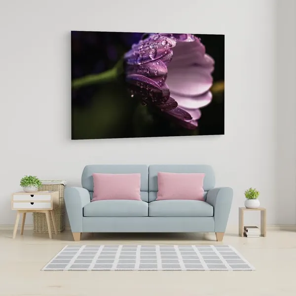 Multicolor_16_X_24_Inch,_Pine_Wood_Framed_Canvas_Paintings_|_For_Home_Decor,_Ready_To_Wall_Hanging,_Premium_Painting_|_For_|_Bedroom,_Living_Room,_Office_Wall_Decoration_|_Wall_Art_Painting,_Ct2415