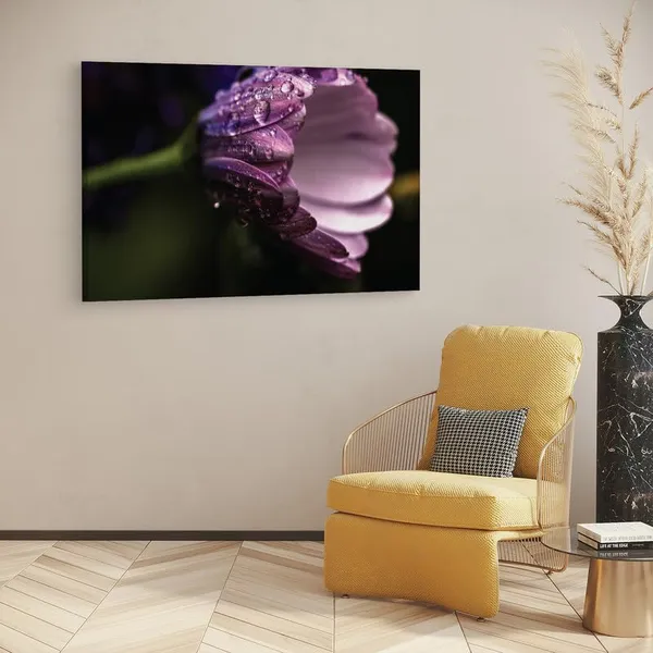 Multicolor_16_X_24_Inch,_Pine_Wood_Framed_Canvas_Paintings_|_For_Home_Decor,_Ready_To_Wall_Hanging,_Premium_Painting_|_For_|_Bedroom,_Living_Room,_Office_Wall_Decoration_|_Wall_Art_Painting,_Ct2415