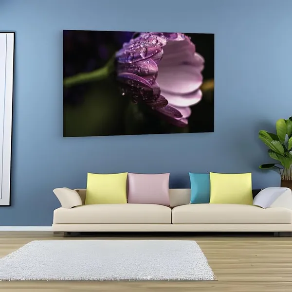 Multicolor_16_X_24_Inch,_Pine_Wood_Framed_Canvas_Paintings_|_For_Home_Decor,_Ready_To_Wall_Hanging,_Premium_Painting_|_For_|_Bedroom,_Living_Room,_Office_Wall_Decoration_|_Wall_Art_Painting,_Ct2415