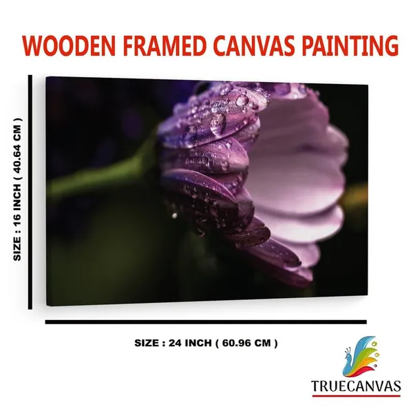 Multicolor_16_X_24_Inch,_Pine_Wood_Framed_Canvas_Paintings_|_For_Home_Decor,_Ready_To_Wall_Hanging,_Premium_Painting_|_For_|_Bedroom,_Living_Room,_Office_Wall_Decoration_|_Wall_Art_Painting,_Ct2415