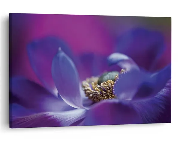Multicolor_16_X_24_Inch,_Pine_Wood_Framed_Canvas_Paintings_|_For_Home_Decor,_Ready_To_Wall_Hanging,_Premium_Painting_|_For_|_Bedroom,_Living_Room,_Office_Wall_Decoration_|_Wall_Art_Painting,_Ct2417