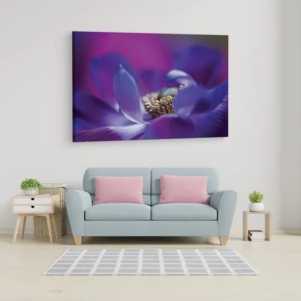 Multicolor_16_X_24_Inch,_Pine_Wood_Framed_Canvas_Paintings_|_For_Home_Decor,_Ready_To_Wall_Hanging,_Premium_Painting_|_For_|_Bedroom,_Living_Room,_Office_Wall_Decoration_|_Wall_Art_Painting,_Ct2417