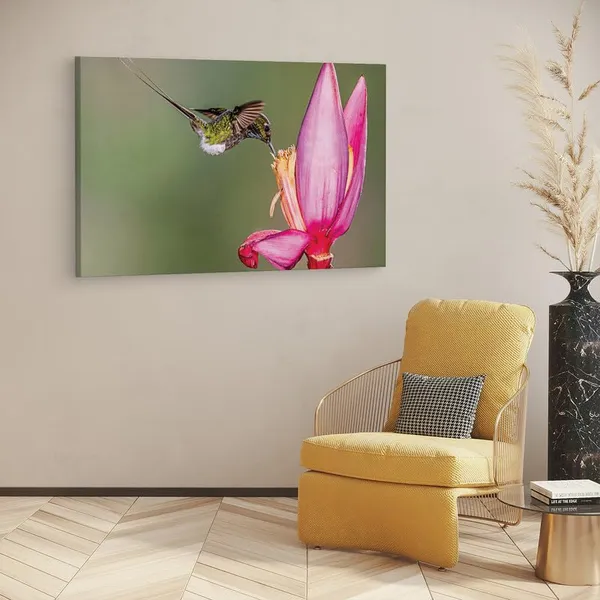 Multicolor_16_X_24_Inch,_Pine_Wood_Framed_Canvas_Paintings_|_For_Home_Decor,_Ready_To_Wall_Hanging,_Premium_Painting_|_For_|_Bedroom,_Living_Room,_Office_Wall_Decoration_|_Wall_Art_Painting,_Ct2418