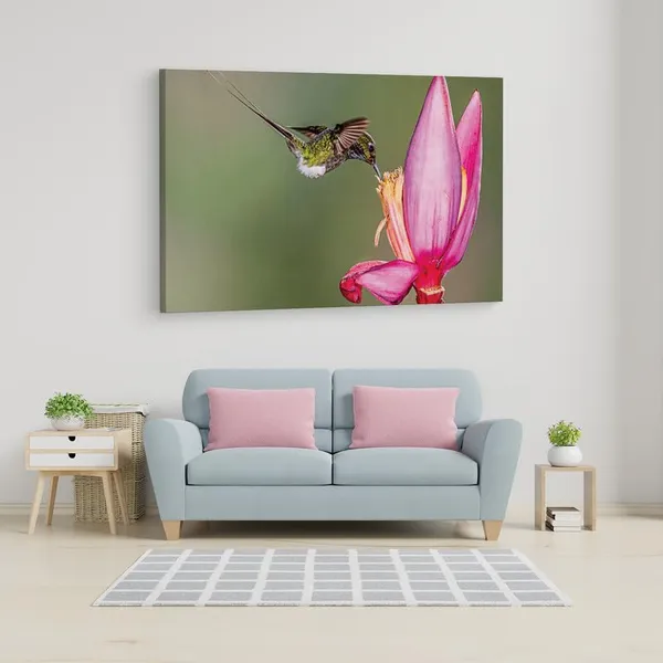 Multicolor_16_X_24_Inch,_Pine_Wood_Framed_Canvas_Paintings_|_For_Home_Decor,_Ready_To_Wall_Hanging,_Premium_Painting_|_For_|_Bedroom,_Living_Room,_Office_Wall_Decoration_|_Wall_Art_Painting,_Ct2418