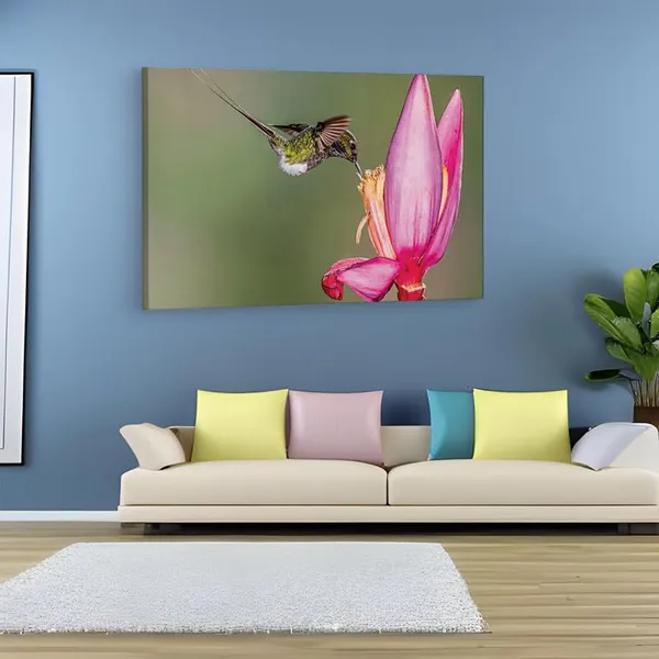Multicolor_16_X_24_Inch,_Pine_Wood_Framed_Canvas_Paintings_|_For_Home_Decor,_Ready_To_Wall_Hanging,_Premium_Painting_|_For_|_Bedroom,_Living_Room,_Office_Wall_Decoration_|_Wall_Art_Painting,_Ct2418