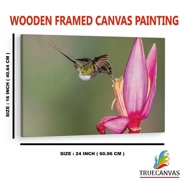 Multicolor_16_X_24_Inch,_Pine_Wood_Framed_Canvas_Paintings_|_For_Home_Decor,_Ready_To_Wall_Hanging,_Premium_Painting_|_For_|_Bedroom,_Living_Room,_Office_Wall_Decoration_|_Wall_Art_Painting,_Ct2418