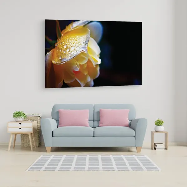 Multicolor_16_X_24_Inch,_Pine_Wood_Framed_Canvas_Paintings_|_For_Home_Decor,_Ready_To_Wall_Hanging,_Premium_Painting_|_For_|_Bedroom,_Living_Room,_Office_Wall_Decoration_|_Wall_Art_Painting,_Ct2419