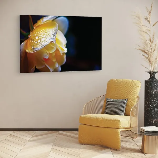 Multicolor_16_X_24_Inch,_Pine_Wood_Framed_Canvas_Paintings_|_For_Home_Decor,_Ready_To_Wall_Hanging,_Premium_Painting_|_For_|_Bedroom,_Living_Room,_Office_Wall_Decoration_|_Wall_Art_Painting,_Ct2419