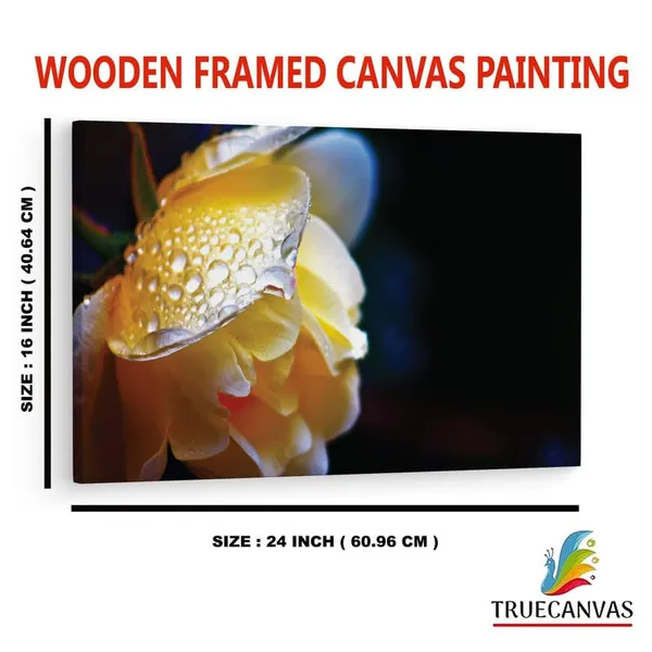 Multicolor_16_X_24_Inch,_Pine_Wood_Framed_Canvas_Paintings_|_For_Home_Decor,_Ready_To_Wall_Hanging,_Premium_Painting_|_For_|_Bedroom,_Living_Room,_Office_Wall_Decoration_|_Wall_Art_Painting,_Ct2419