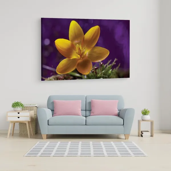 Multicolor_16_X_24_Inch,_Pine_Wood_Framed_Canvas_Paintings_|_For_Home_Decor,_Ready_To_Wall_Hanging,_Premium_Painting_|_For_|_Bedroom,_Living_Room,_Office_Wall_Decoration_|_Wall_Art_Painting,_Ct2420