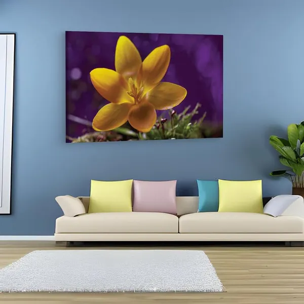 Multicolor_16_X_24_Inch,_Pine_Wood_Framed_Canvas_Paintings_|_For_Home_Decor,_Ready_To_Wall_Hanging,_Premium_Painting_|_For_|_Bedroom,_Living_Room,_Office_Wall_Decoration_|_Wall_Art_Painting,_Ct2420