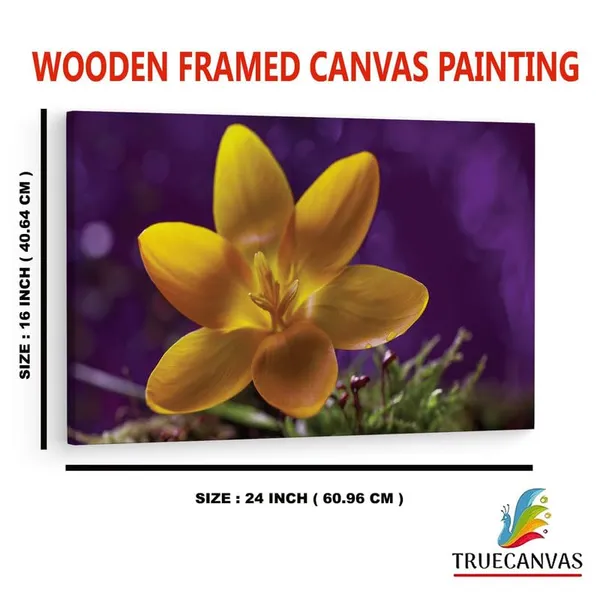 Multicolor_16_X_24_Inch,_Pine_Wood_Framed_Canvas_Paintings_|_For_Home_Decor,_Ready_To_Wall_Hanging,_Premium_Painting_|_For_|_Bedroom,_Living_Room,_Office_Wall_Decoration_|_Wall_Art_Painting,_Ct2420