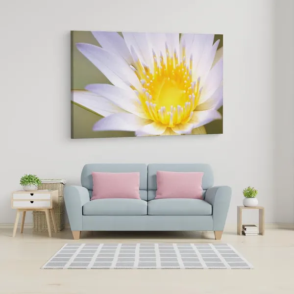 Multicolor_16_X_24_Inch,_Pine_Wood_Framed_Canvas_Paintings_|_For_Home_Decor,_Ready_To_Wall_Hanging,_Premium_Painting_|_For_|_Bedroom,_Living_Room,_Office_Wall_Decoration_|_Wall_Art_Painting,_Ct2421