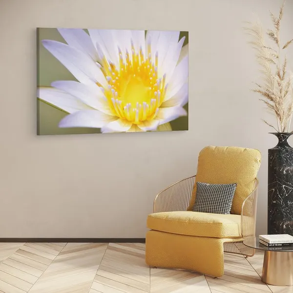 Multicolor_16_X_24_Inch,_Pine_Wood_Framed_Canvas_Paintings_|_For_Home_Decor,_Ready_To_Wall_Hanging,_Premium_Painting_|_For_|_Bedroom,_Living_Room,_Office_Wall_Decoration_|_Wall_Art_Painting,_Ct2421