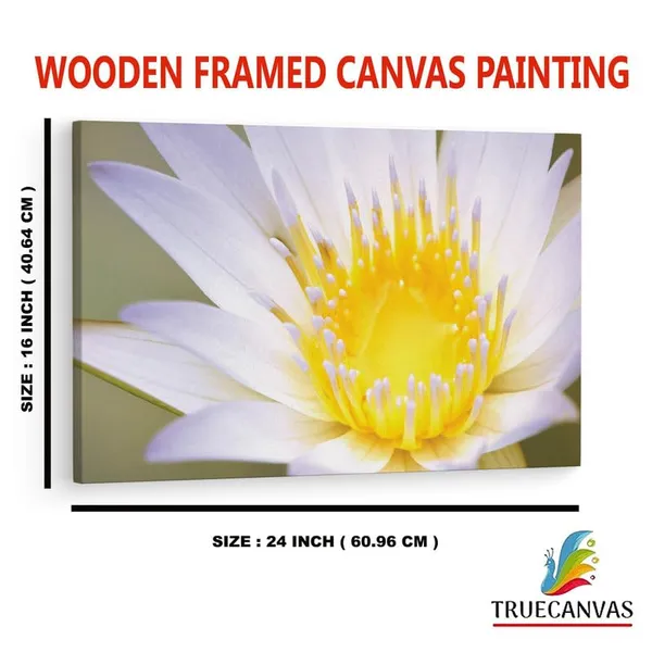Multicolor_16_X_24_Inch,_Pine_Wood_Framed_Canvas_Paintings_|_For_Home_Decor,_Ready_To_Wall_Hanging,_Premium_Painting_|_For_|_Bedroom,_Living_Room,_Office_Wall_Decoration_|_Wall_Art_Painting,_Ct2421