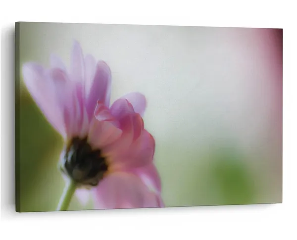 Multicolor_16_X_24_Inch,_Pine_Wood_Framed_Canvas_Paintings_|_For_Home_Decor,_Ready_To_Wall_Hanging,_Premium_Painting_|_For_|_Bedroom,_Living_Room,_Office_Wall_Decoration_|_Wall_Art_Painting,_Ct2422