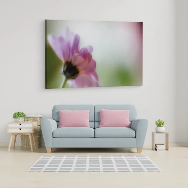 Multicolor_16_X_24_Inch,_Pine_Wood_Framed_Canvas_Paintings_|_For_Home_Decor,_Ready_To_Wall_Hanging,_Premium_Painting_|_For_|_Bedroom,_Living_Room,_Office_Wall_Decoration_|_Wall_Art_Painting,_Ct2422
