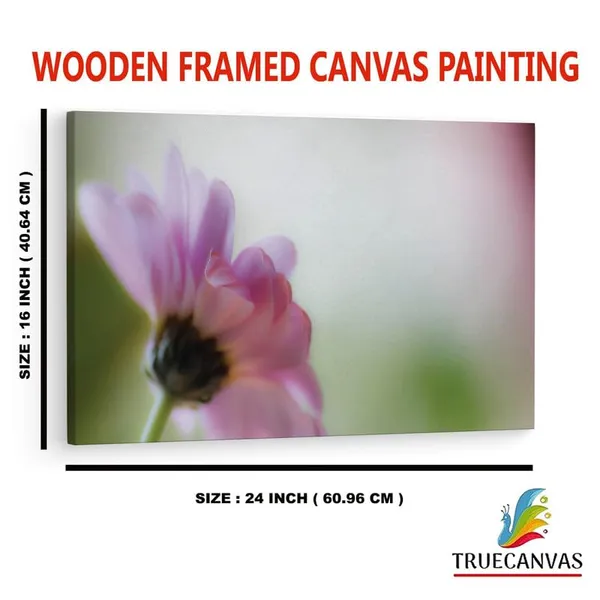 Multicolor_16_X_24_Inch,_Pine_Wood_Framed_Canvas_Paintings_|_For_Home_Decor,_Ready_To_Wall_Hanging,_Premium_Painting_|_For_|_Bedroom,_Living_Room,_Office_Wall_Decoration_|_Wall_Art_Painting,_Ct2422