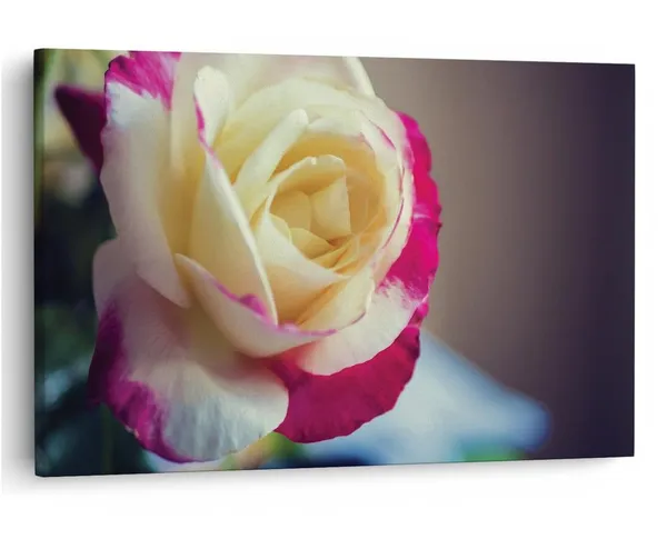 Multicolor_16_X_24_Inch,_Pine_Wood_Framed_Canvas_Paintings_|_For_Home_Decor,_Ready_To_Wall_Hanging,_Premium_Painting_|_For_|_Bedroom,_Living_Room,_Office_Wall_Decoration_|_Wall_Art_Painting,_Ct2423