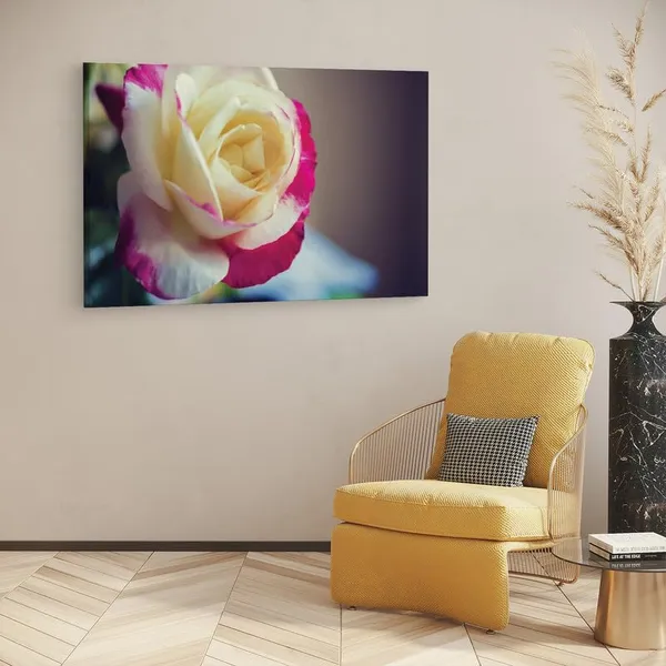 Multicolor_16_X_24_Inch,_Pine_Wood_Framed_Canvas_Paintings_|_For_Home_Decor,_Ready_To_Wall_Hanging,_Premium_Painting_|_For_|_Bedroom,_Living_Room,_Office_Wall_Decoration_|_Wall_Art_Painting,_Ct2423