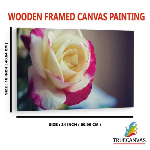 Multicolor_16_X_24_Inch,_Pine_Wood_Framed_Canvas_Paintings_|_For_Home_Decor,_Ready_To_Wall_Hanging,_Premium_Painting_|_For_|_Bedroom,_Living_Room,_Office_Wall_Decoration_|_Wall_Art_Painting,_Ct2423