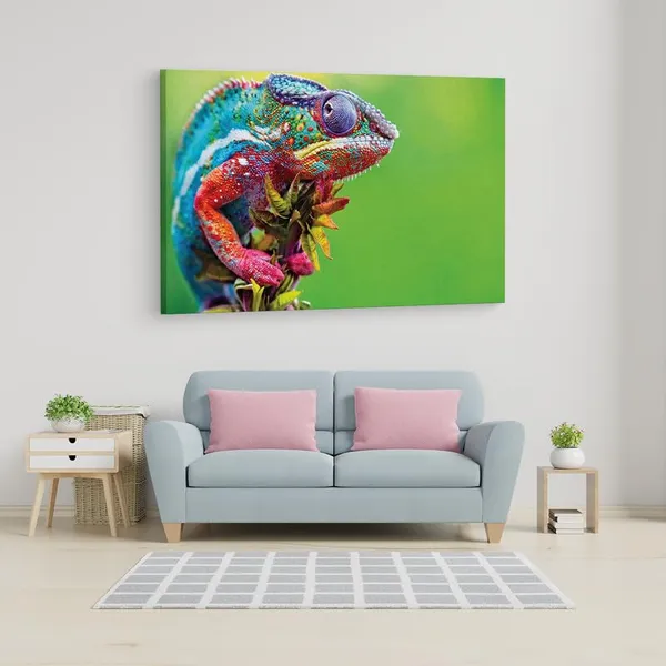 Multicolor_16_X_24_Inch,_Pine_Wood_Framed_Canvas_Paintings_|_For_Home_Decor,_Ready_To_Wall_Hanging,_Premium_Painting_|_For_|_Bedroom,_Living_Room,_Office_Wall_Decoration_|_Wall_Art_Painting,_Ct2424