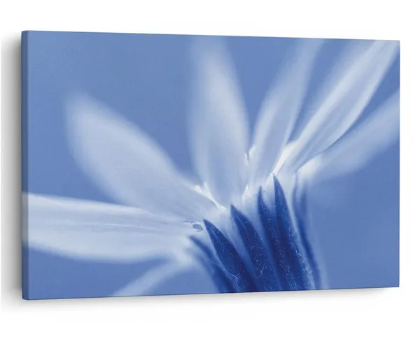 Multicolor_16_X_24_Inch,_Pine_Wood_Framed_Canvas_Paintings_|_For_Home_Decor,_Ready_To_Wall_Hanging,_Premium_Painting_|_For_|_Bedroom,_Living_Room,_Office_Wall_Decoration_|_Wall_Art_Painting,_Ct2425