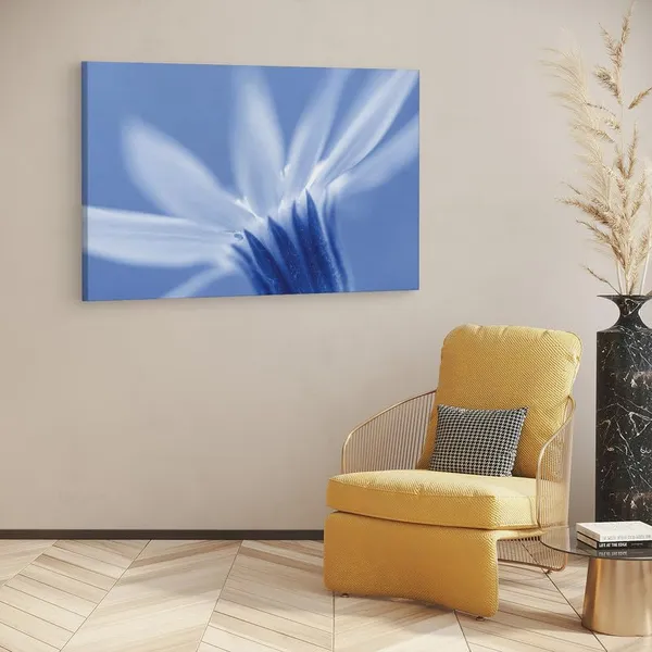 Multicolor_16_X_24_Inch,_Pine_Wood_Framed_Canvas_Paintings_|_For_Home_Decor,_Ready_To_Wall_Hanging,_Premium_Painting_|_For_|_Bedroom,_Living_Room,_Office_Wall_Decoration_|_Wall_Art_Painting,_Ct2425