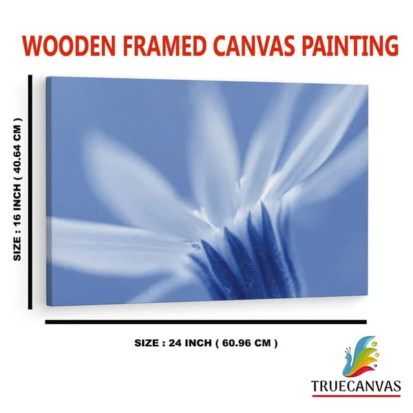 Multicolor_16_X_24_Inch,_Pine_Wood_Framed_Canvas_Paintings_|_For_Home_Decor,_Ready_To_Wall_Hanging,_Premium_Painting_|_For_|_Bedroom,_Living_Room,_Office_Wall_Decoration_|_Wall_Art_Painting,_Ct2425