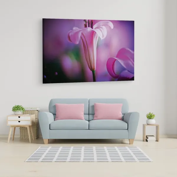 Multicolor_16_X_24_Inch,_Pine_Wood_Framed_Canvas_Paintings_|_For_Home_Decor,_Ready_To_Wall_Hanging,_Premium_Painting_|_For_|_Bedroom,_Living_Room,_Office_Wall_Decoration_|_Wall_Art_Painting,_Ct2426