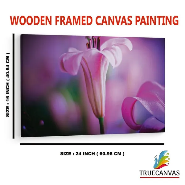 Multicolor_16_X_24_Inch,_Pine_Wood_Framed_Canvas_Paintings_|_For_Home_Decor,_Ready_To_Wall_Hanging,_Premium_Painting_|_For_|_Bedroom,_Living_Room,_Office_Wall_Decoration_|_Wall_Art_Painting,_Ct2426