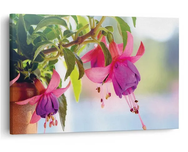 Multicolor_16_X_24_Inch,_Pine_Wood_Framed_Canvas_Paintings_|_For_Home_Decor,_Ready_To_Wall_Hanging,_Premium_Painting_|_For_|_Bedroom,_Living_Room,_Office_Wall_Decoration_|_Wall_Art_Painting,_Ct2427