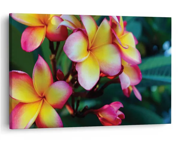 Multicolor_16_X_24_Inch,_Pine_Wood_Framed_Canvas_Paintings_|_For_Home_Decor,_Ready_To_Wall_Hanging,_Premium_Painting_|_For_|_Bedroom,_Living_Room,_Office_Wall_Decoration_|_Wall_Art_Painting,_Ct2428