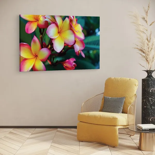 Multicolor_16_X_24_Inch,_Pine_Wood_Framed_Canvas_Paintings_|_For_Home_Decor,_Ready_To_Wall_Hanging,_Premium_Painting_|_For_|_Bedroom,_Living_Room,_Office_Wall_Decoration_|_Wall_Art_Painting,_Ct2428