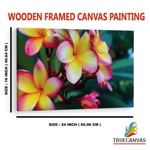 Multicolor_16_X_24_Inch,_Pine_Wood_Framed_Canvas_Paintings_|_For_Home_Decor,_Ready_To_Wall_Hanging,_Premium_Painting_|_For_|_Bedroom,_Living_Room,_Office_Wall_Decoration_|_Wall_Art_Painting,_Ct2428