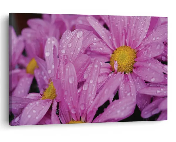 Multicolor_16_X_24_Inch,_Pine_Wood_Framed_Canvas_Paintings_|_For_Home_Decor,_Ready_To_Wall_Hanging,_Premium_Painting_|_For_|_Bedroom,_Living_Room,_Office_Wall_Decoration_|_Wall_Art_Painting,_Ct2429