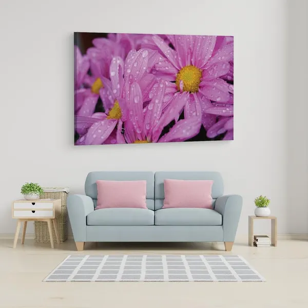 Multicolor_16_X_24_Inch,_Pine_Wood_Framed_Canvas_Paintings_|_For_Home_Decor,_Ready_To_Wall_Hanging,_Premium_Painting_|_For_|_Bedroom,_Living_Room,_Office_Wall_Decoration_|_Wall_Art_Painting,_Ct2429