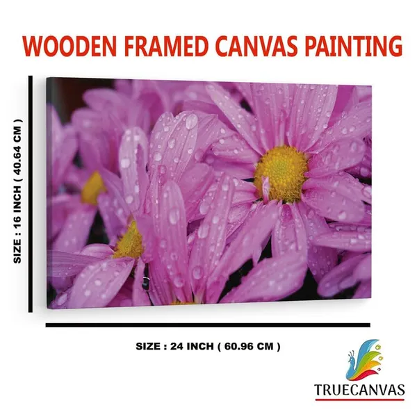 Multicolor_16_X_24_Inch,_Pine_Wood_Framed_Canvas_Paintings_|_For_Home_Decor,_Ready_To_Wall_Hanging,_Premium_Painting_|_For_|_Bedroom,_Living_Room,_Office_Wall_Decoration_|_Wall_Art_Painting,_Ct2429