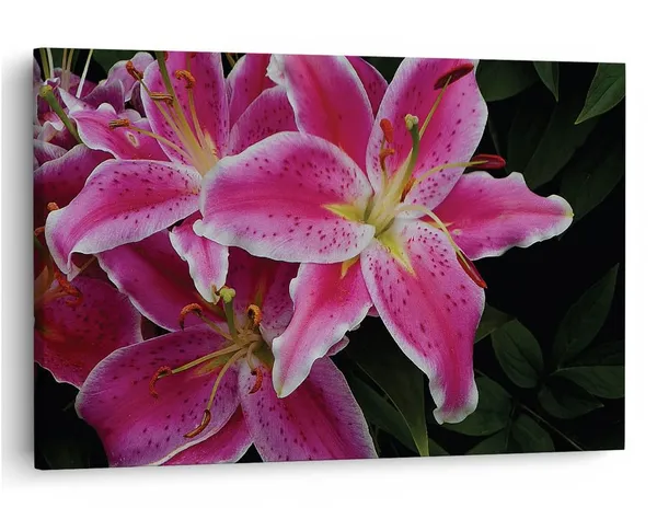 Multicolor_16_X_24_Inch,_Pine_Wood_Framed_Canvas_Paintings_|_For_Home_Decor,_Ready_To_Wall_Hanging,_Premium_Painting_|_For_|_Bedroom,_Living_Room,_Office_Wall_Decoration_|_Wall_Art_Painting,_Ct2430