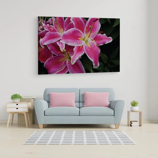 Multicolor_16_X_24_Inch,_Pine_Wood_Framed_Canvas_Paintings_|_For_Home_Decor,_Ready_To_Wall_Hanging,_Premium_Painting_|_For_|_Bedroom,_Living_Room,_Office_Wall_Decoration_|_Wall_Art_Painting,_Ct2430