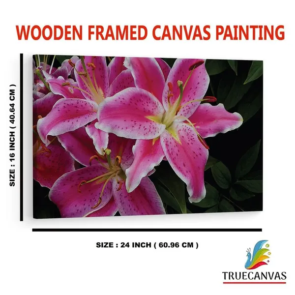 Multicolor_16_X_24_Inch,_Pine_Wood_Framed_Canvas_Paintings_|_For_Home_Decor,_Ready_To_Wall_Hanging,_Premium_Painting_|_For_|_Bedroom,_Living_Room,_Office_Wall_Decoration_|_Wall_Art_Painting,_Ct2430
